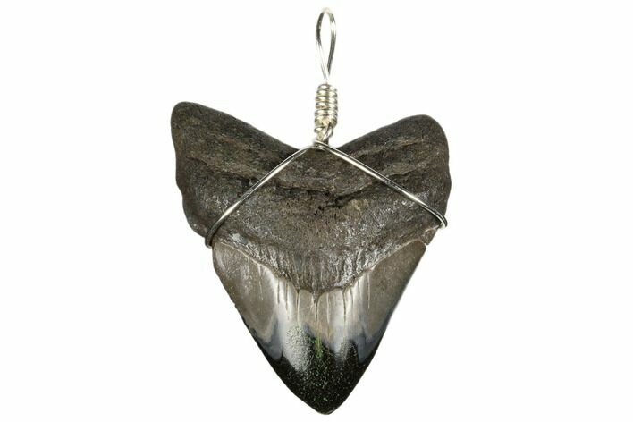 Fossil Megalodon Tooth Necklace #173829